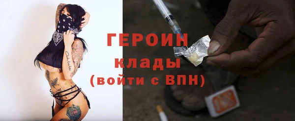 сатива Новодвинск