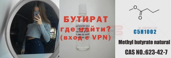 сатива Новодвинск