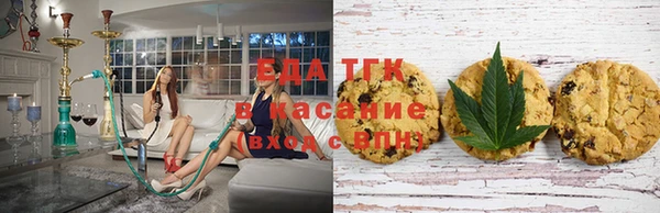 шишки Новокубанск