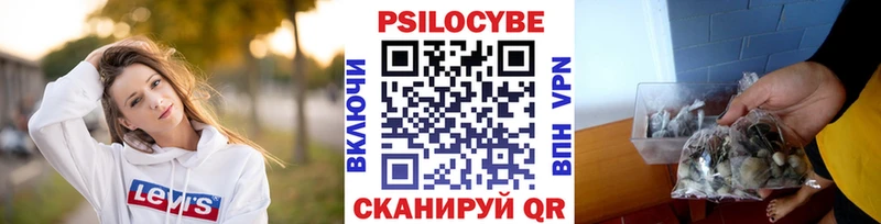 кракен ссылки  Бавлы  Псилоцибиновые грибы Cubensis 